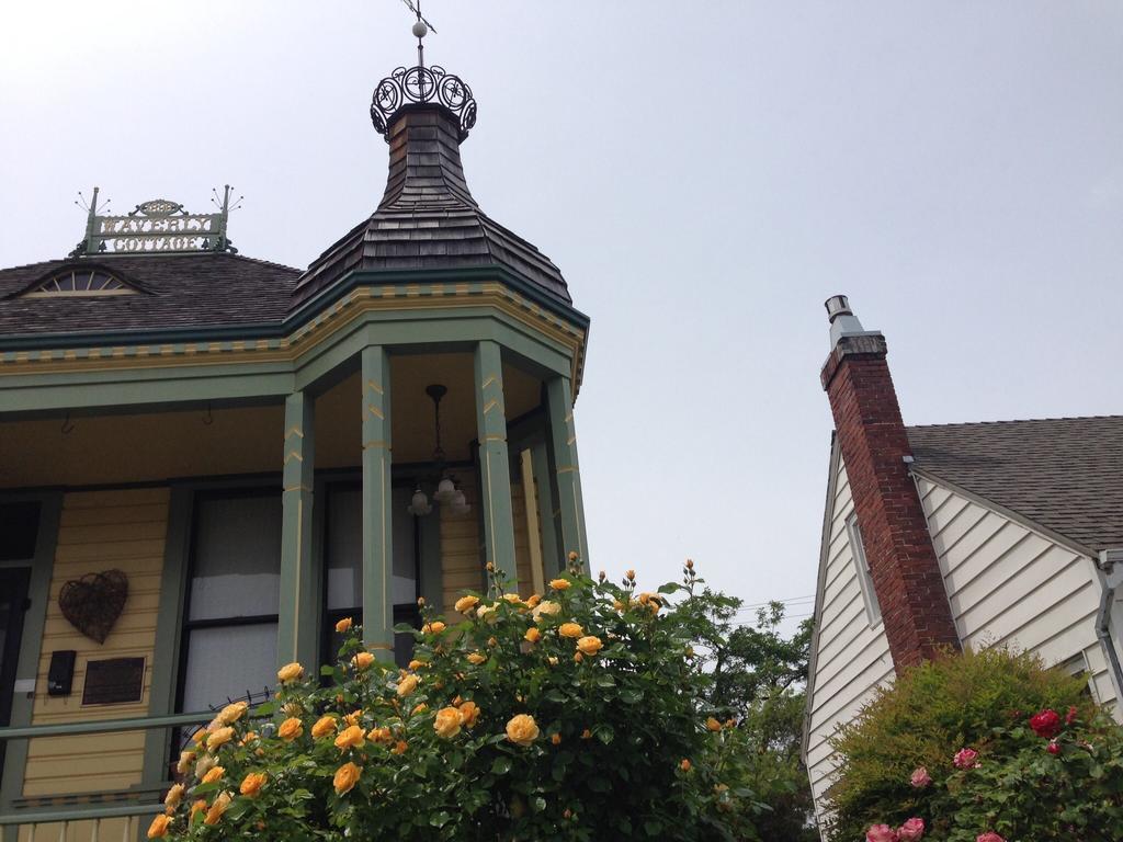 Waverly Cottage Μέντφορντ Εξωτερικό φωτογραφία