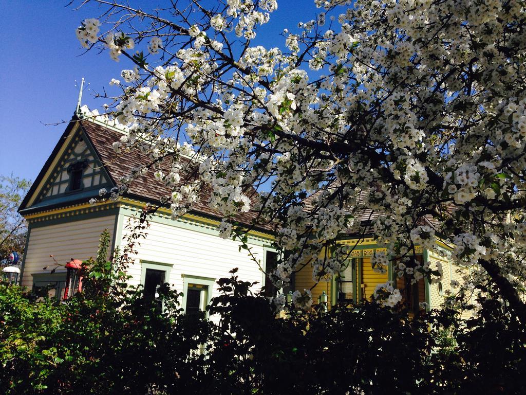 Waverly Cottage Μέντφορντ Εξωτερικό φωτογραφία